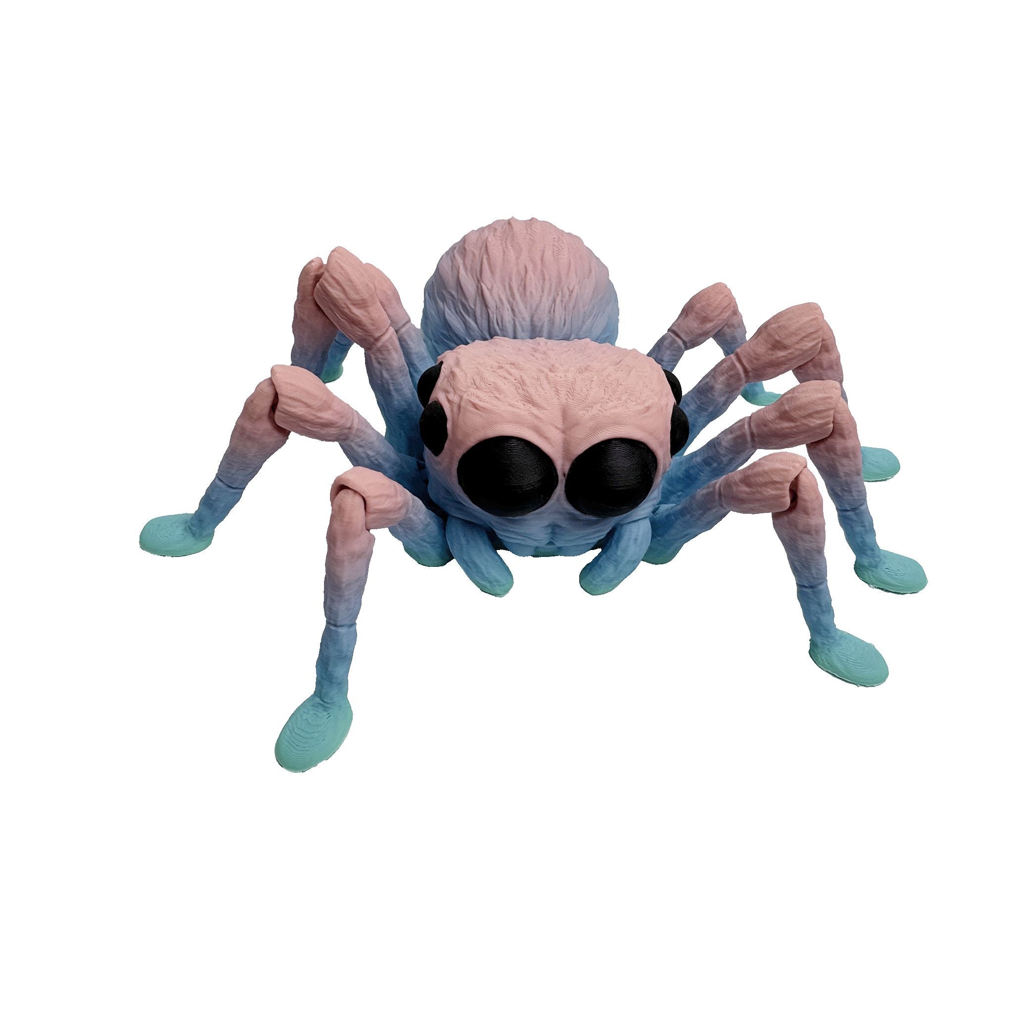 Bubbles the Spider - Flexi Toy